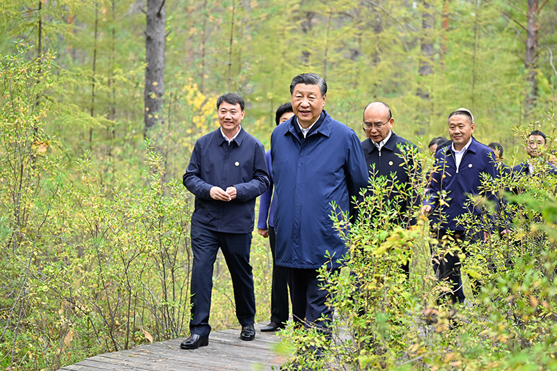 9月6日至8日，中共中央總書(shū)記、國(guó)家主席、中央軍委主席習(xí)近平在黑龍江考察。這是6日下午，習(xí)近平在大興安嶺地區(qū)漠河市漠河林場(chǎng)自然林區(qū)考察